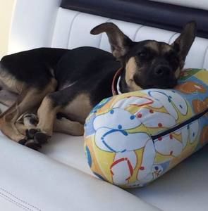 Meet your Posher, Loretta